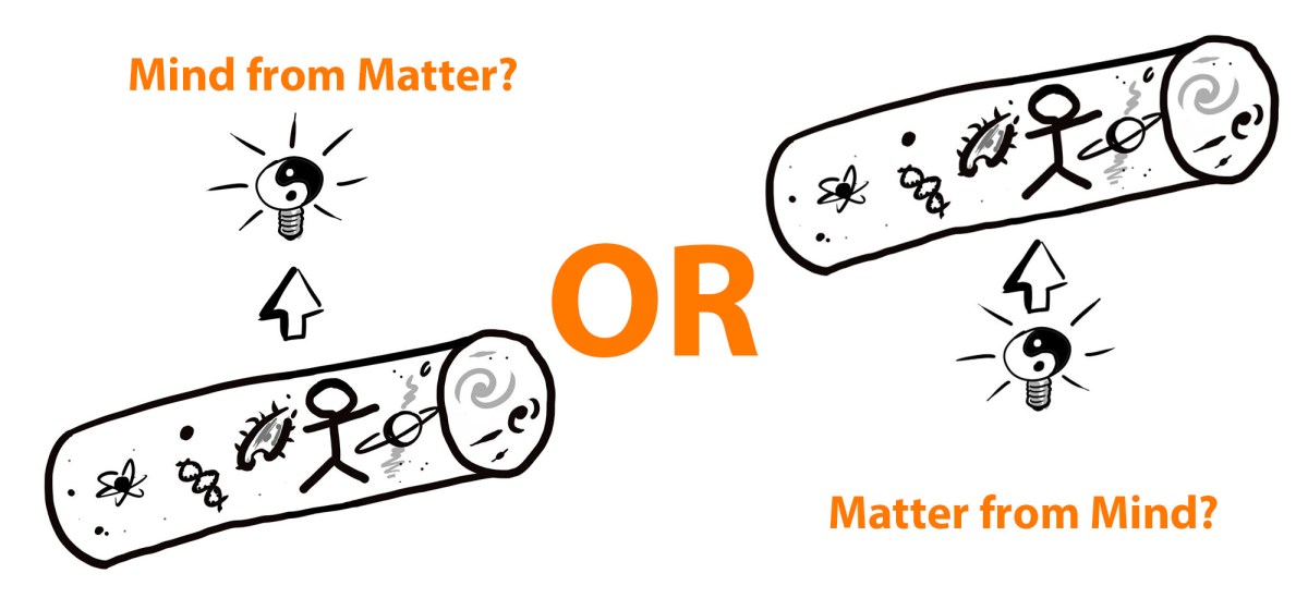 AI and Consciousness, Member Guest Post