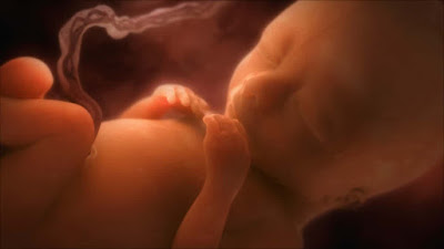 An external womb, will change the nature of human reproduction…