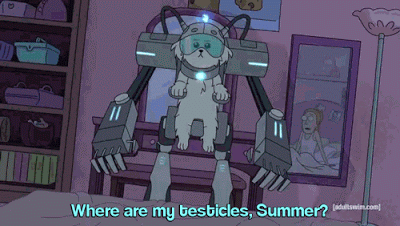 Dogs Understand Tone And Meaning Of Words