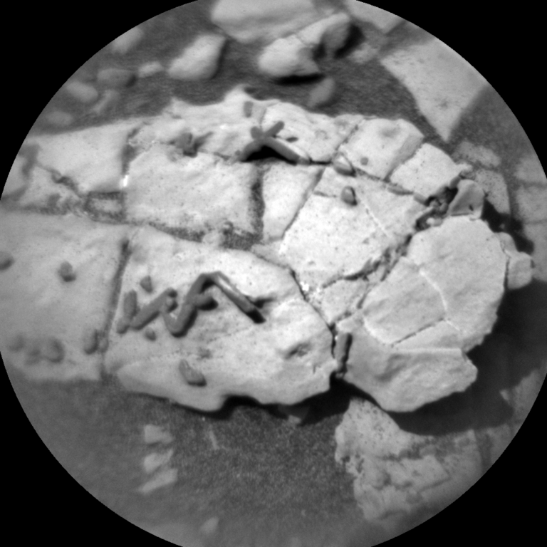 Fossils found on Mars?