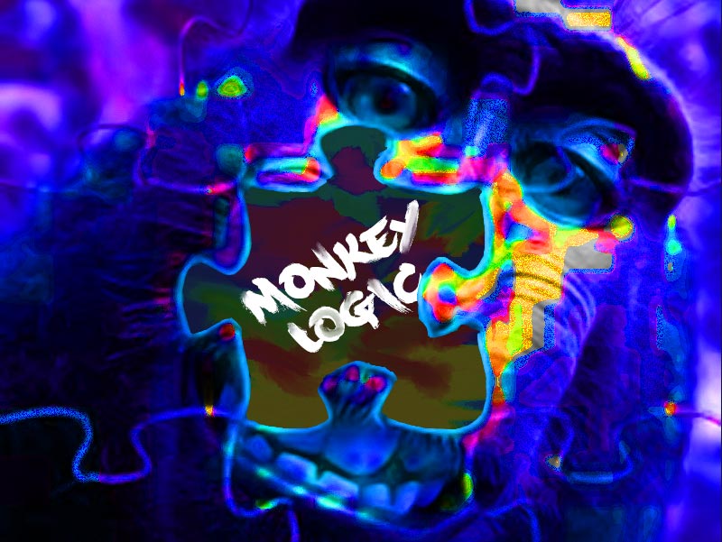 Monkey Logic no.4 – Do it for Monkey!
