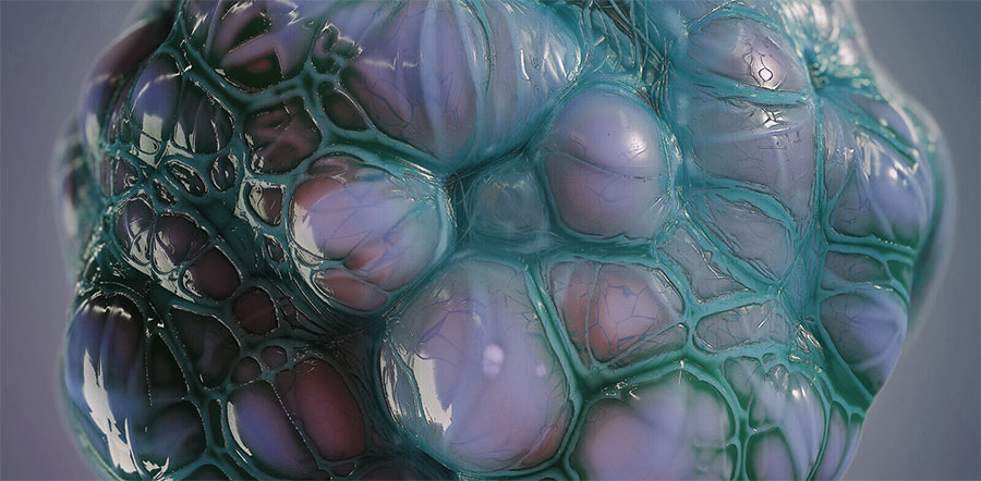 Nice Fermi Paradox Solution