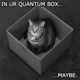 Quantum Qualia?