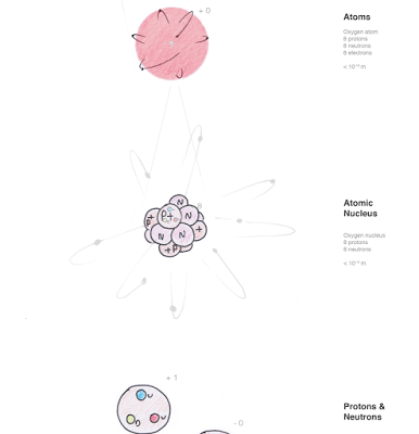 Quarks, Proteins, Cells and Stuff