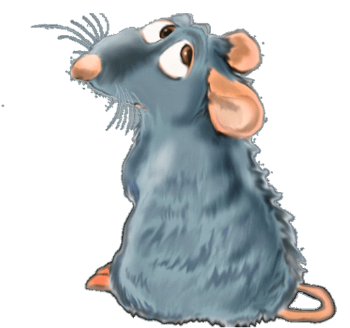 Rats Regret Making the Wrong Decision