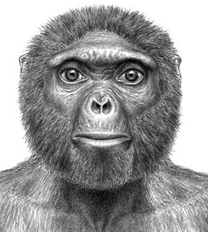 Stone Tools Before Homo