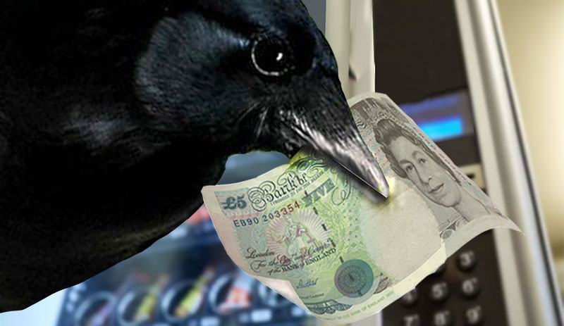 Summer SciFi Musings